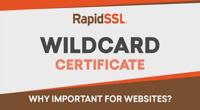 RapidSSL Wildcard Certificate