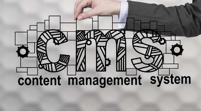 Content Management System Guide